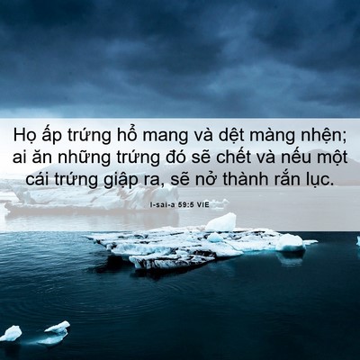 Picture 06 - I-sai-a 59:5 VIE - Họ ấp trứng hổ mang và dệt màng - Bible Verse Picture