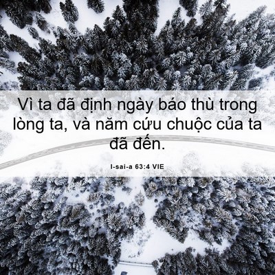 Picture 06 - I-sai-a 63:4 VIE - Vì ta đã định ngày báo thù trong lòng - Bible Verse Picture
