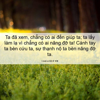 Picture 06 - I-sai-a 63:5 VIE - Ta đã xem, chẳng có ai đến giúp ta; ta - Bible Verse Picture