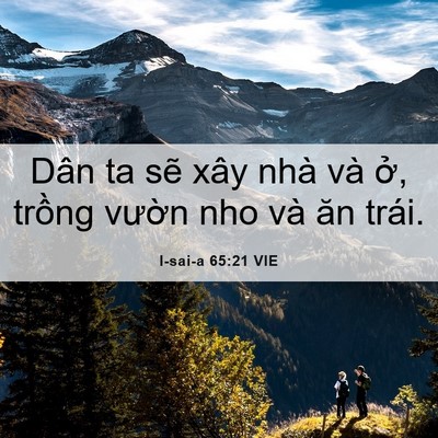 Picture 06 - I-sai-a 65:21 VIE - Dân ta sẽ xây nhà và ở, trồng vườn - Bible Verse Picture