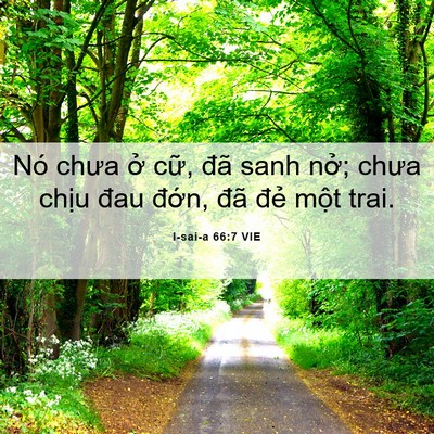 Picture 06 - I-sai-a 66:7 VIE - Nó chưa ở cữ, đã sanh nở; chưa chịu - Bible Verse Picture