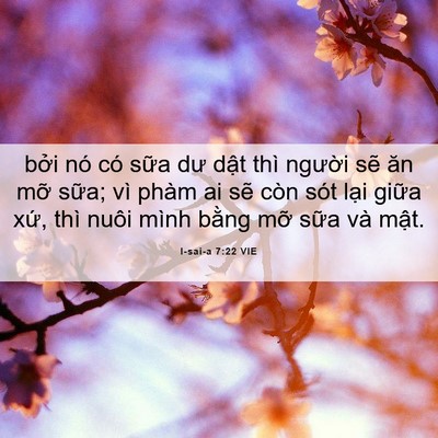 Picture 06 - I-sai-a 7:22 VIE - bởi nó có sữa dư dật thì người sẽ - Bible Verse Picture