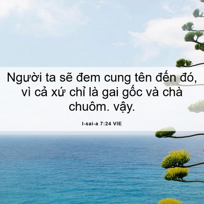Picture 06 - I-sai-a 7:24 VIE - Người ta sẽ đem cung tên đến đó, vì - Bible Verse Picture
