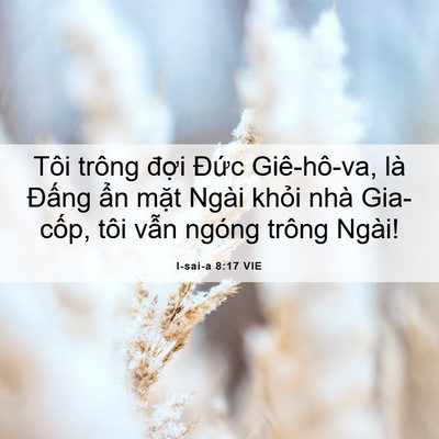 Picture 06 - I-sai-a 8:17 VIE - Tôi trông đợi Đức Giê-hô-va, là - Bible Verse Picture
