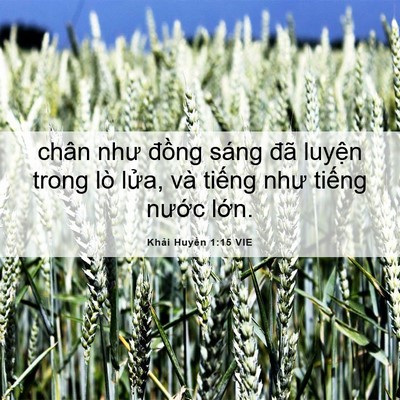 Picture 06 - Khải Huyền 1:15 VIE - chân như đồng sáng đã luyện trong lò - Bible Verse Picture
