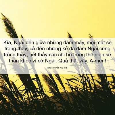 Picture 06 - Khải Huyền 1:7 VIE - Kìa, Ngài đến giữa những đám mây, - Bible Verse Picture