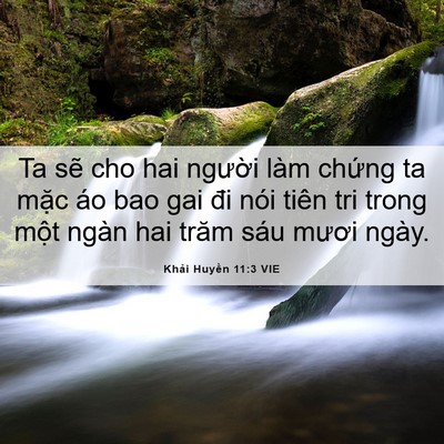 Picture 06 - Khải Huyền 11:3 VIE - Ta sẽ cho hai người làm chứng ta mặc - Bible Verse Picture