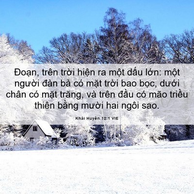 Picture 06 - Khải Huyền 12:1 VIE - Đoạn, trên trời hiện ra một dấu - Bible Verse Picture