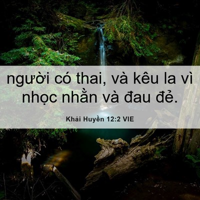Picture 06 - Khải Huyền 12:2 VIE - người có thai, và kêu la vì nhọc nhằn - Bible Verse Picture