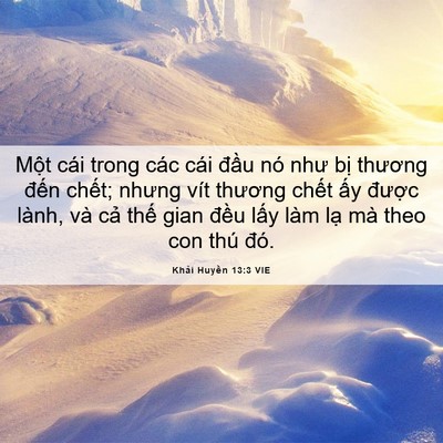Picture 06 - Khải Huyền 13:3 VIE - Một cái trong các cái đầu nó như bị - Bible Verse Picture