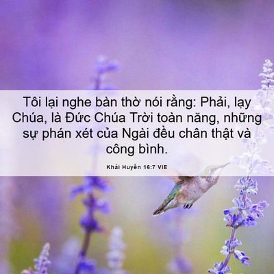 Picture 06 - Khải Huyền 16:7 VIE - Tôi lại nghe bàn thờ nói rằng: Phải, - Bible Verse Picture