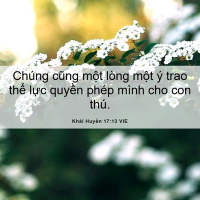 Picture 06 - Khải Huyền 17:13 VIE - Chúng cũng một lòng một ý trao thế - Bible Verse Picture