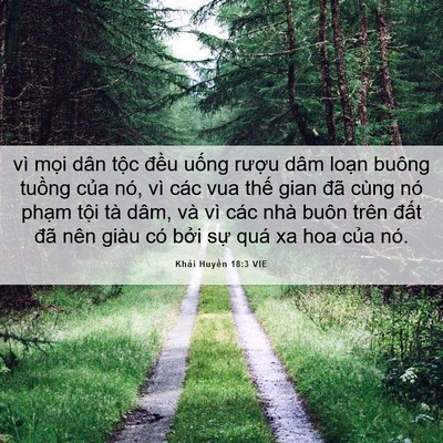Picture 06 - Khải Huyền 18:3 VIE - vì mọi dân tộc đều uống rượu dâm - Bible Verse Picture