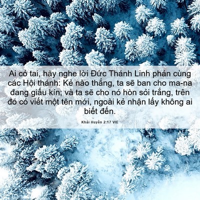 Picture 06 - Khải Huyền 2:17 VIE - Ai có tai, hãy nghe lời Đức Thánh Linh - Bible Verse Picture