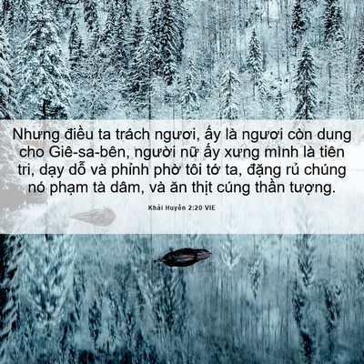 Picture 06 - Khải Huyền 2:20 VIE - Nhưng điều ta trách ngươi, ấy là - Bible Verse Picture