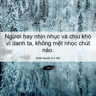 Picture 06 - Khải Huyền 2:3 VIE - Ngươi hay nhịn nhục và chịu khó vì - Bible Verse Picture