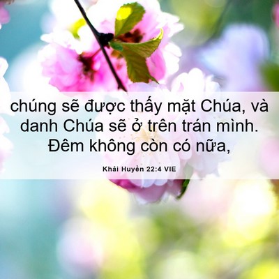 Picture 06 - Khải Huyền 22:4 VIE - chúng sẽ được thấy mặt Chúa, và danh - Bible Verse Picture