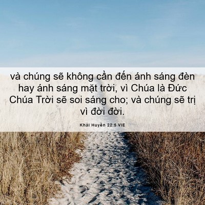 Picture 06 - Khải Huyền 22:5 VIE - và chúng sẽ không cần đến ánh sáng - Bible Verse Picture