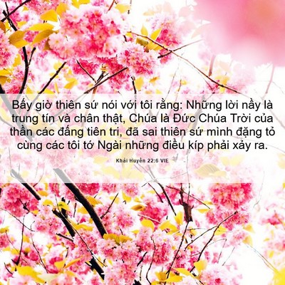 Picture 06 - Khải Huyền 22:6 VIE - Bấy giờ thiên sứ nói với tôi rằng: - Bible Verse Picture