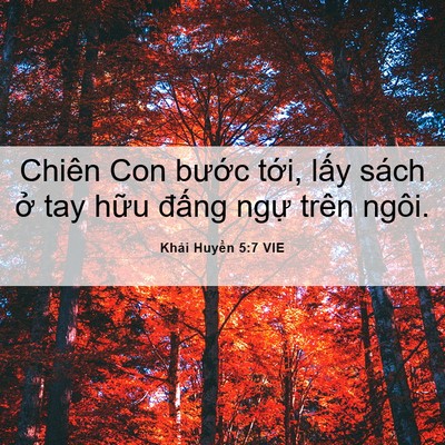Picture 06 - Khải Huyền 5:7 VIE - Chiên Con bước tới, lấy sách ở tay - Bible Verse Picture