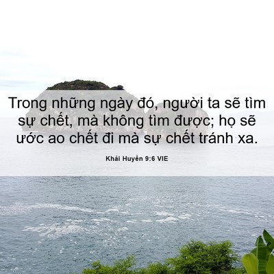 Picture 06 - Khải Huyền 9:6 VIE - Trong những ngày đó, người ta sẽ tìm - Bible Verse Picture