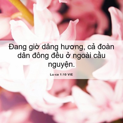 Picture 06 - Lu-ca 1:10 VIE - Đang giờ dâng hương, cả đoàn dân - Bible Verse Picture