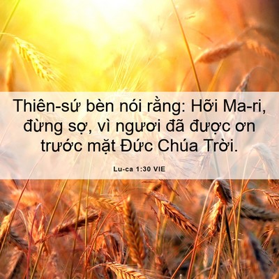 Picture 06 - Lu-ca 1:30 VIE - Thiên-sứ bèn nói rằng: Hỡi Ma-ri, - Bible Verse Picture