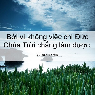 Picture 06 - Lu-ca 1:37 VIE - Bởi vì không việc chi Đức Chúa Trời - Bible Verse Picture