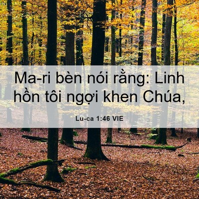 Picture 06 - Lu-ca 1:46 VIE - Ma-ri bèn nói rằng: Linh hồn tôi ngợi - Bible Verse Picture