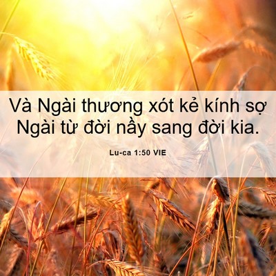 Picture 06 - Lu-ca 1:50 VIE - Và Ngài thương xót kẻ kính sợ Ngài - Bible Verse Picture