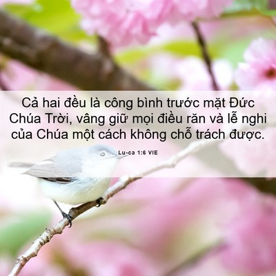 Picture 06 - Lu-ca 1:6 VIE - Cả hai đều là công bình trước mặt - Bible Verse Picture