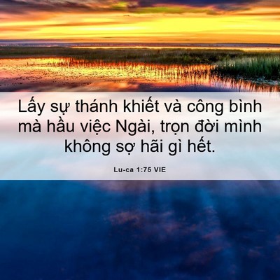 Picture 06 - Lu-ca 1:75 VIE - Lấy sự thánh khiết và công bình mà - Bible Verse Picture