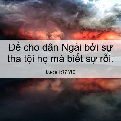 Picture 06 - Lu-ca 1:77 VIE - Để cho dân Ngài bởi sự tha tội họ - Bible Verse Picture