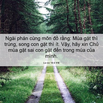 Picture 06 - Lu-ca 10:2 VIE - Ngài phán cùng môn đồ rằng: Mùa gặt - Bible Verse Picture