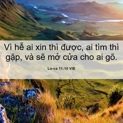 Picture 06 - Lu-ca 11:10 VIE - Vì hễ ai xin thì được, ai tìm thì - Bible Verse Picture
