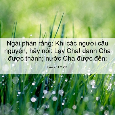 Picture 06 - Lu-ca 11:2 VIE - Ngài phán rằng: Khi các ngươi cầu - Bible Verse Picture