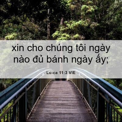 Picture 06 - Lu-ca 11:3 VIE - xin cho chúng tôi ngày nào đủ bánh ngày - Bible Verse Picture