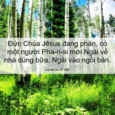 Picture 06 - Lu-ca 11:37 VIE - Đức Chúa Jêsus đang phán, có một - Bible Verse Picture