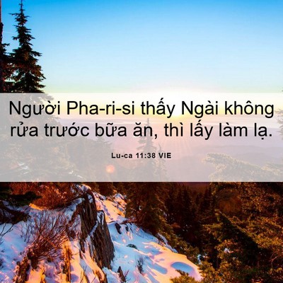 Picture 06 - Lu-ca 11:38 VIE - Người Pha-ri-si thấy Ngài không rửa - Bible Verse Picture