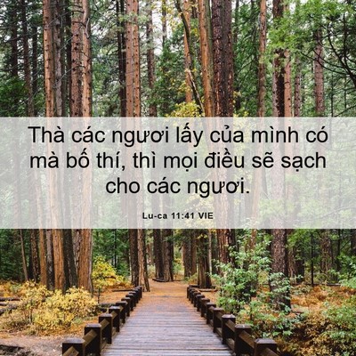 Picture 06 - Lu-ca 11:41 VIE - Thà các ngươi lấy của mình có mà bố - Bible Verse Picture