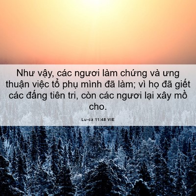 Picture 06 - Lu-ca 11:48 VIE - Như vậy, các ngươi làm chứng và ưng - Bible Verse Picture