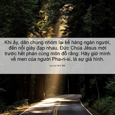 Picture 06 - Lu-ca 12:1 VIE - Khi ấy, dân chúng nhóm lại kể hàng - Bible Verse Picture