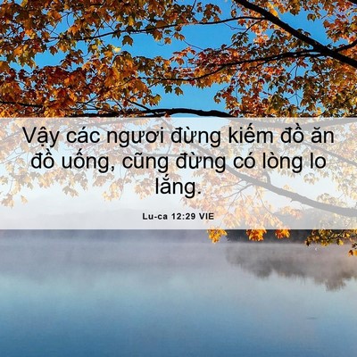 Picture 06 - Lu-ca 12:29 VIE - Vậy các ngươi đừng kiếm đồ ăn đồ - Bible Verse Picture