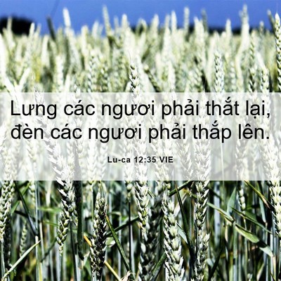 Picture 06 - Lu-ca 12:35 VIE - Lưng các ngươi phải thắt lại, đèn - Bible Verse Picture