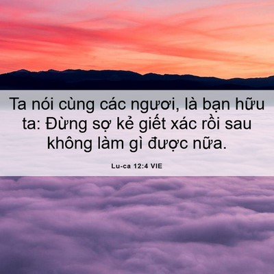 Picture 06 - Lu-ca 12:4 VIE - Ta nói cùng các ngươi, là bạn hữu ta: - Bible Verse Picture