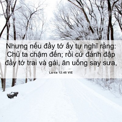 Picture 06 - Lu-ca 12:45 VIE - Nhưng nếu đầy tớ ấy tự nghĩ rằng: - Bible Verse Picture
