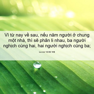 Picture 06 - Lu-ca 12:52 VIE - Vì từ nay về sau, nếu năm người ở - Bible Verse Picture