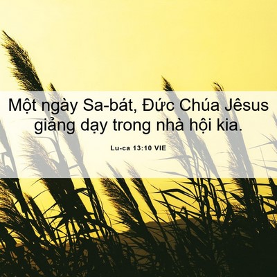 Picture 06 - Lu-ca 13:10 VIE - Một ngày Sa-bát, Đức Chúa Jêsus giảng - Bible Verse Picture