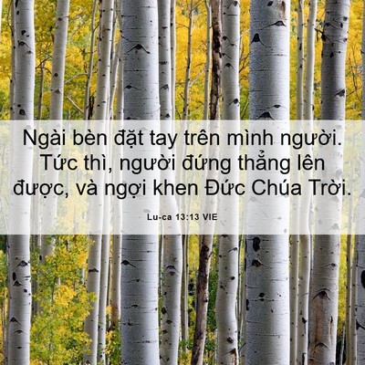 Picture 06 - Lu-ca 13:13 VIE - Ngài bèn đặt tay trên mình người. Tức - Bible Verse Picture