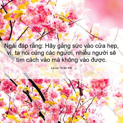 Picture 06 - Lu-ca 13:24 VIE - Ngài đáp rằng: Hãy gắng sức vào cửa - Bible Verse Picture